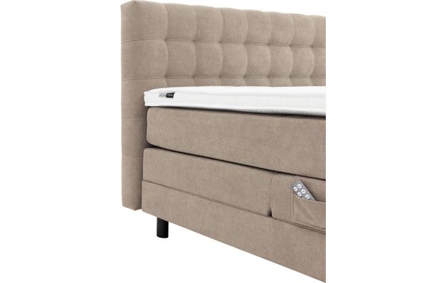 Boxspring compleet briljant royal - product_179579