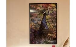 Goossens schilderij proud peacock peer blauw plexiglas - 0100916662_2026-08-28-17