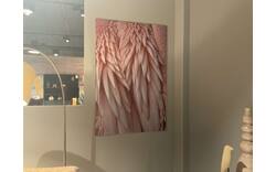 Goossens schilderij pink feather rotterdam roze dibond - 0100916949_2026-08-31-09