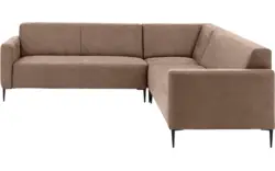 Microleer, lever