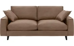 Microleer, lever