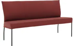 Steenrood (dik master)